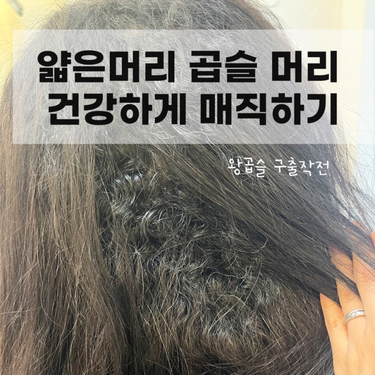 곱슬머리 매직 상한머리도 윤기나게 하려면? : 네이버 블로그