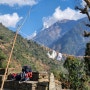 네팔 여행 4일차 | 계단 끝판왕 | 지누단다 - 촘롱 - 시누와 - 밤부 - 도반