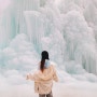 [청양] 겨울 국내여행 겨울축제 가볼만한 곳 인생사진 겟겟~알프스마을 칠갑산 얼음분수 축제