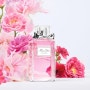 선물하기 좋은 분홍빛 향기 - 미스 디올 "로즈 앤 로지즈"