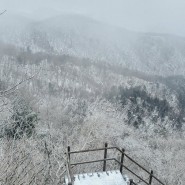 안내산악회 - 치악산 등반하기 (부곡탐방지원센터 출 -> 치악산국립공원사무소 착)