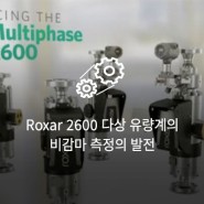 Roxar 2600 다상 유량계의 비감마 측정의 발전