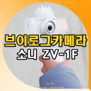 유튜브 브이로그 카메라 추천 소니 미러리스 ZV-1F 사용기