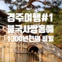 불국사 쌍홍예 천삼백년 동안의 경주 지진에도 무너지지 않은1300년전의 비밀을 푼 초등학생, 경주여행#1