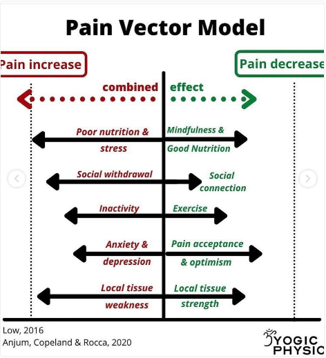 Pain Vector Model 통증에 대한 새로운 시각 : 네이버 블로그