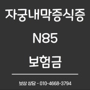 N850, N851자궁내막증식증 코드로 유사암 보험금 지급받기!