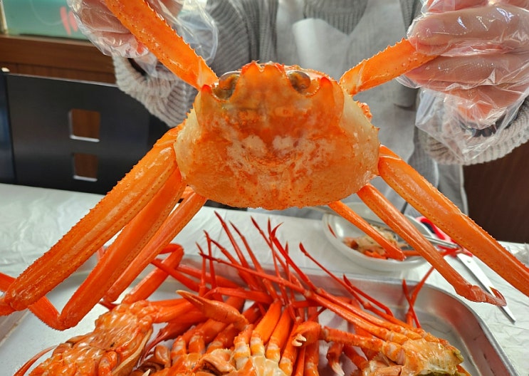 강릉 홍게 무한리필 미스터홍게 황홀했던 교동 맛집이야! : 네이버 블로그