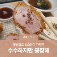 대전 유성구 맛집, 맛집으로 입소문이 자자한 신성동 돈가스 전문점 '수수하지만 굉장해'