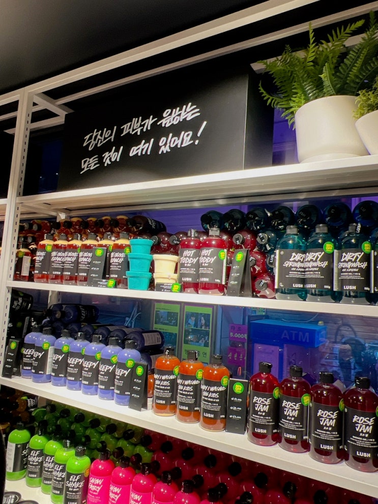 IMG_3111.JPG?type=w2