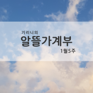 [가계부]서울자취/20대/여자/직장인 #23.1.30~2.5