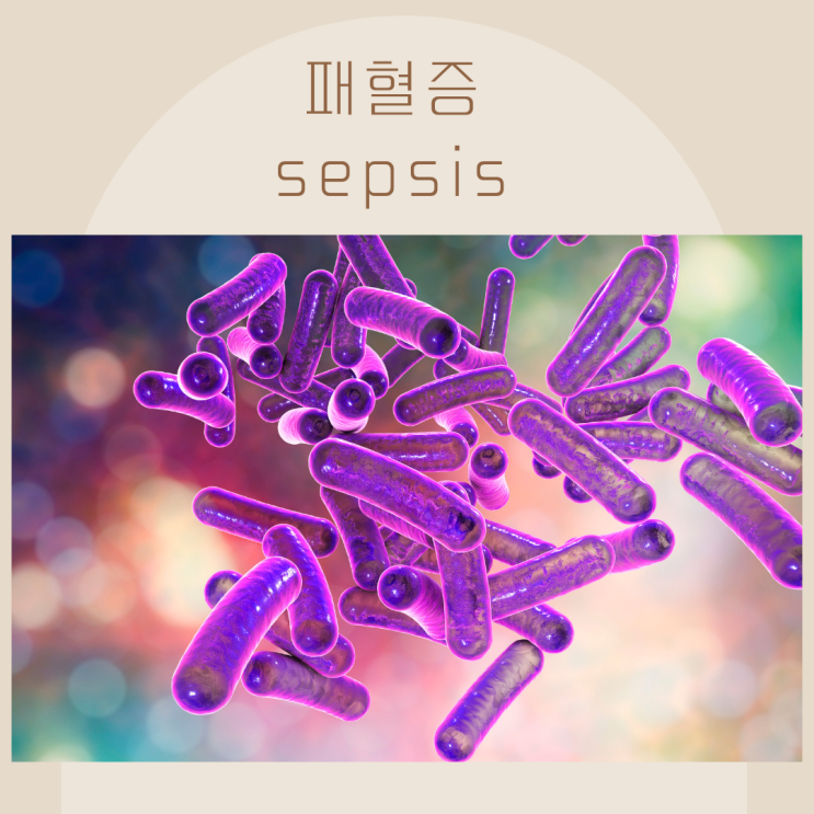 sepsis 패혈증 증상 치료 쇼크 shock : 네이버 블로그