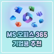 MS 오피스 365 기업용 을 위한 제품 추천~!