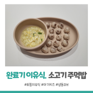 [완료기/토핑 이유식] 돌아기 핑거푸드 소고기치즈주먹밥 (+ 냉동 토핑 큐브 사용)