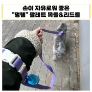 강아지 산책할 때 손이 자유로울 수 있는 멍템 팔레트 목줄&리드줄 사용기 :)