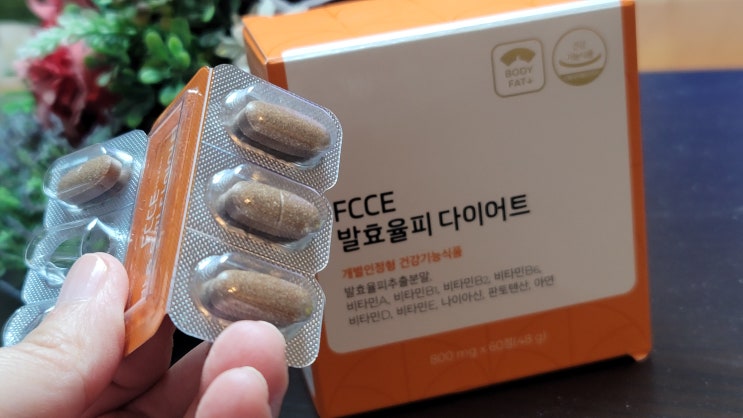 팍시 발효율피 다이어트(FCCE) 신세경 다이어트 4주 복용 후기 결과 : 네이버 블로그