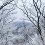[등산기록] 겨울 소백산 비로봉_백대명산