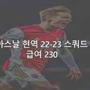 피파4 아스날 스쿼드 현역 21-22 팀컬러 포메이션 4222,442,523 전술