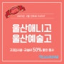 2023년 2월 인트로만화학원 교습비 50%할인 EVENT [울산만화학원]