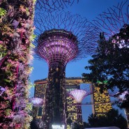 싱가포르 여행기#2 / 가든스 바이 더 베이, 보타닉 가든, 리버원더스, 마리나베이샌즈/ 알버트 센터 / 230115-230116)