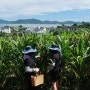 부안 가볼만한 곳 [모항체험마을] 전북 부안 가족여행 농촌체험