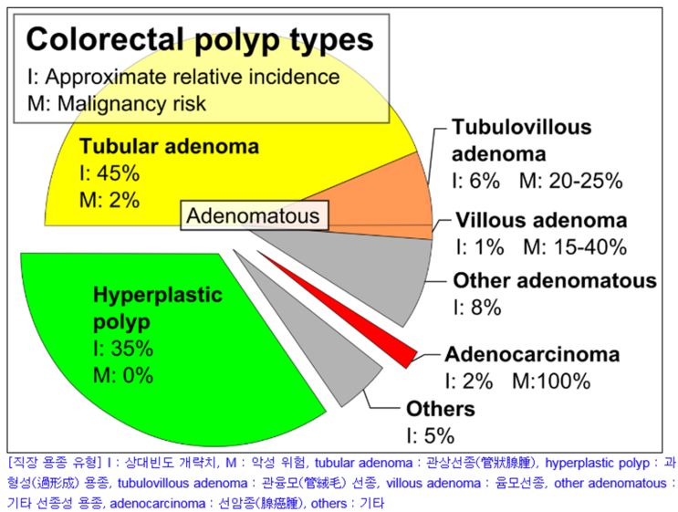 Colon Polypectomy _ (1) : 네이버 블로그