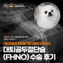대퇴관절의 완전탈구로 내원한 강아지의 대퇴골두절단술(FHNO) 수술 후기 - 잠실송파동물병원, 잠실ON동물의료센터