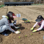 주말농장을 꿈꾸는 서울시민이라면 도시 텃밭 분양 신청하세요