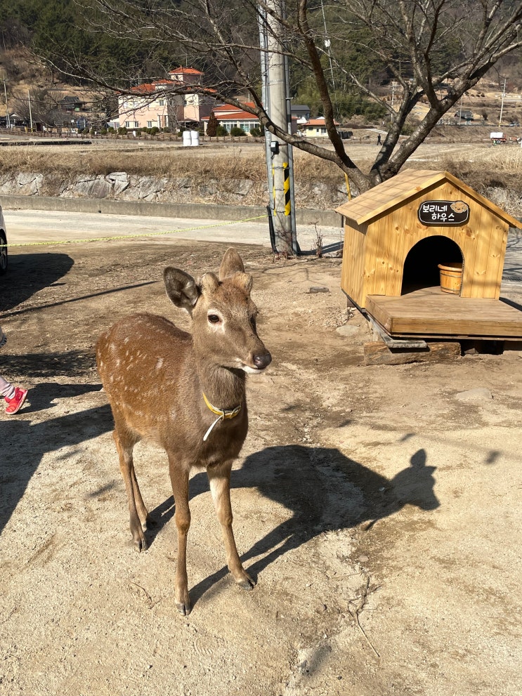 진주동물원]아이랑 가기 좋은 진주 실내동물원 애니멀프렌즈