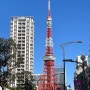 [일본] 일본 가족여행_4일차_도쿄여행