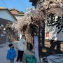 포항 구룡포 가볼 만한 곳 일본인 가옥 거리