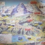 4. 유럽 여행(2018년)스위스 인터라켄에서 융프라우 정상 가는 방법, 알프스 하이킹
