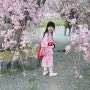 벚꽃 개화시기 오사카 교토 여행! - 니넨자카 & 산넨자카 · 가모가와 강 · 아라시야마