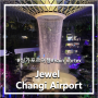 [싱가포르 여행#6-6] 쥬엘 Jewel 창이공항_공항 안에 위치한 거대한 인공폭포, 실내정원