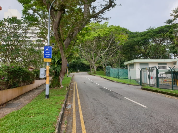 [싱가포르 등산] Kent Ridge Park, 켄트리지 공원