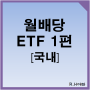 월배당 ETF 투자하기 1편 - 국내ETF 종류