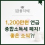 年 1,200만원 이상 연금! 종합소득세 폐지는 좋은 소식 입니다?!