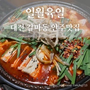 대전 갈마동 안주맛집 일월육일