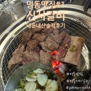 [쭈봉이의 명동맛집#1 신서갈비] 명동맛집을 찾나요? 서서갈비는 어때요? 명동서서갈비 맛집 신서갈비 내돈내산 솔직후기!