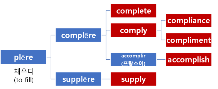어원으로 6개 단어 쉽게 외우기(complete, comply, compliment, accomplish, supply ...