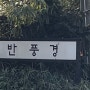 대전 근교 드라이브 코스 옥천 카페 '호반풍경' 내돈내산 후기
