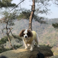 아찻차 아차산 등반 성공