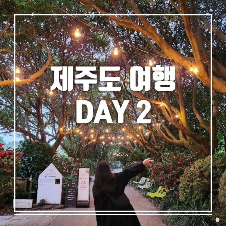 [제주] 제주도 여행 DAY2. 아르떼뮤지엄-오설록-카멜리아힐-흑돼지 오마카세 풍로 : 네이버 블로그