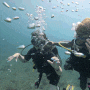 [태국] 피피섬 스쿠버다이빙 체험 / 한인 다이빙샵 / 수수료없이 결제방법 / 동남아 여행지추천 / < 띵하이다이빙샵 Ting Hai 다이빙샵 >