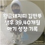 황금돼지띠 김만뚜, 생후 39개월~40개월 아기 성장 기록