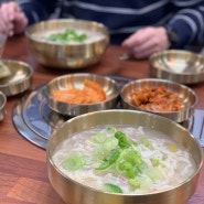 마곡 서울식물원 맛집 김포닭한마리 인생칼국수