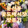 대전 둔산동 둔산꽃도매시장 방문기 / 발표회 꽃다발 준비하기. 예림꽃집