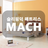 슬리핑덕 매트리스, 2023년 신제품 마하 출시 예정!