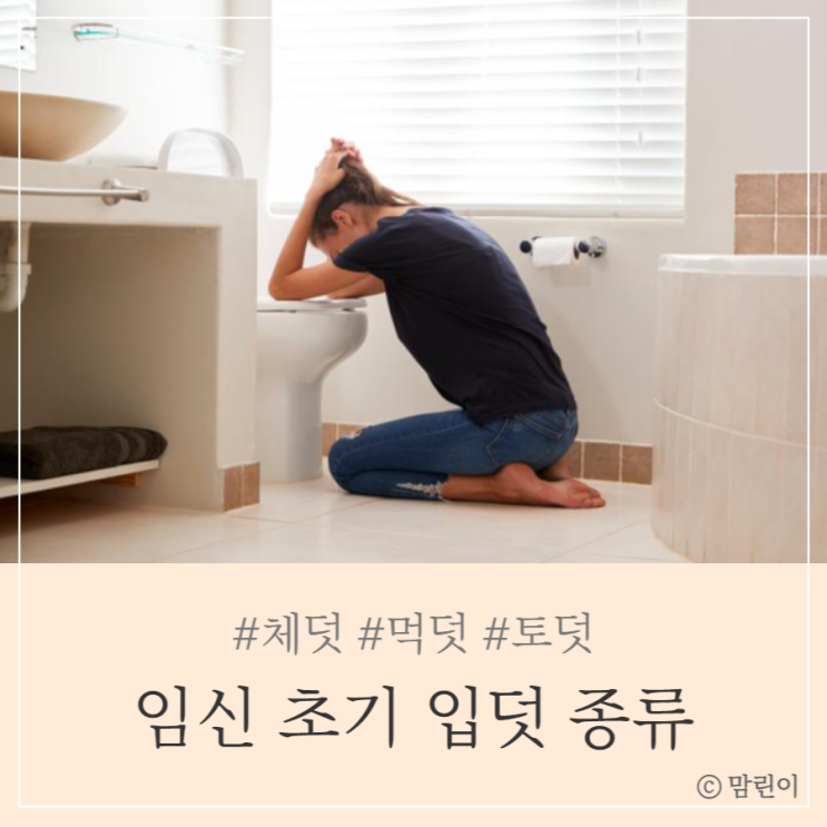 임신 초기 입덧 종류 먹덧, 체덧, 토덧 : 네이버 블로그