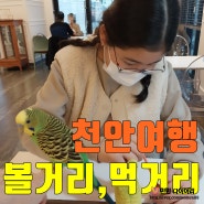 천안 1박2일 여행 추천코스, 안가면 후회할뻔 했다