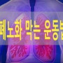 폐 노화 막는 방법 숨쉬는것도 폐 운동이 된다